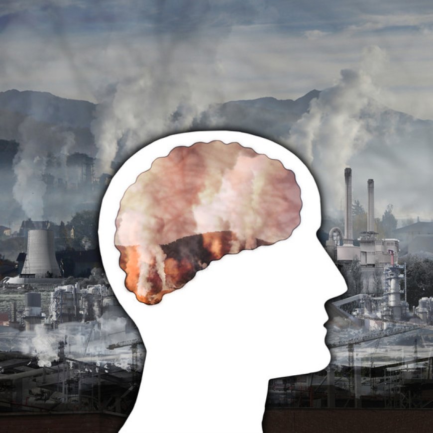 آلودگی هوا چگونه می‌تواند موجب آلزایمر شود؟