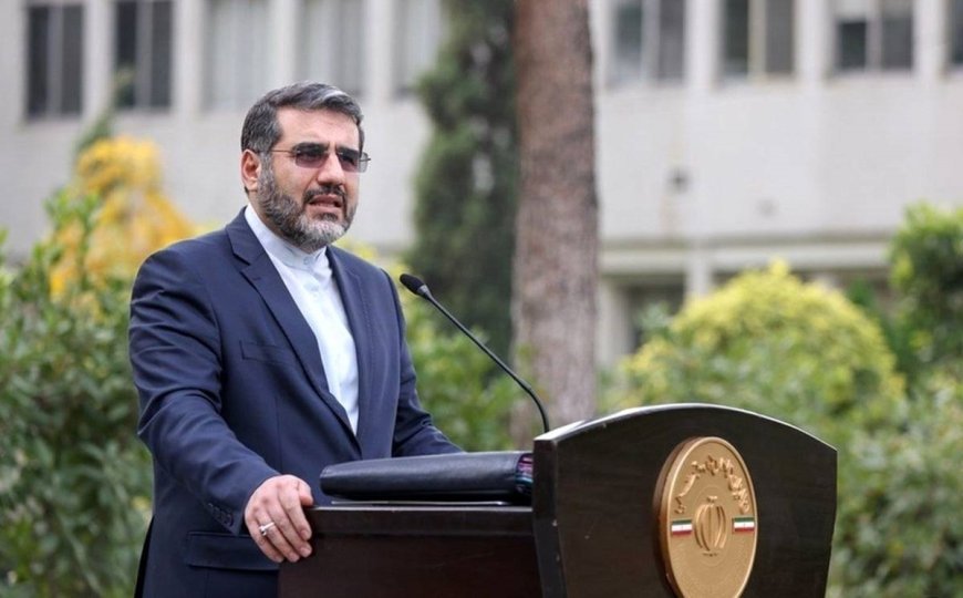 وزیر ارشاد: حکم صادره برای شروین حاجی‌ پور بازتاب خوبی ندارد