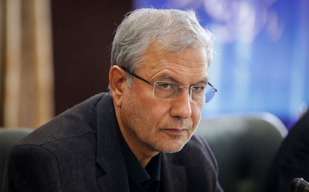 ربیعی: تعطیلی شنبه توطئه نیست