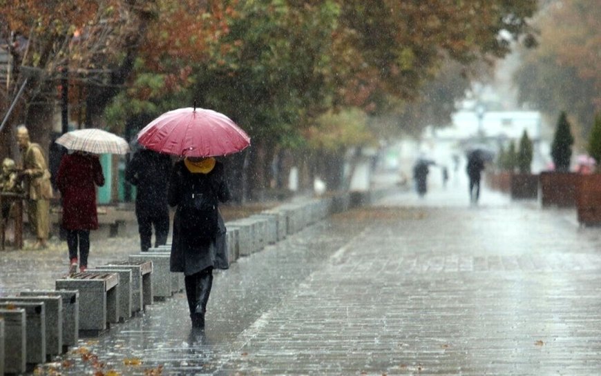 بهار پربارش  امسال با افزایش متوسط بارندگی استان فارس در سامانه بارشی اخیر