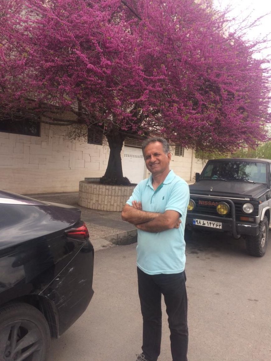 " ارغوان شیراز " درختی برای دیدن
