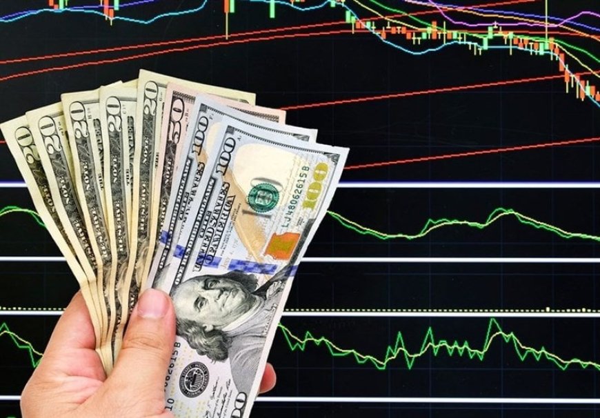 پیش‌بینی مهم یک فعال اقتصادی درباره نرخ ارز