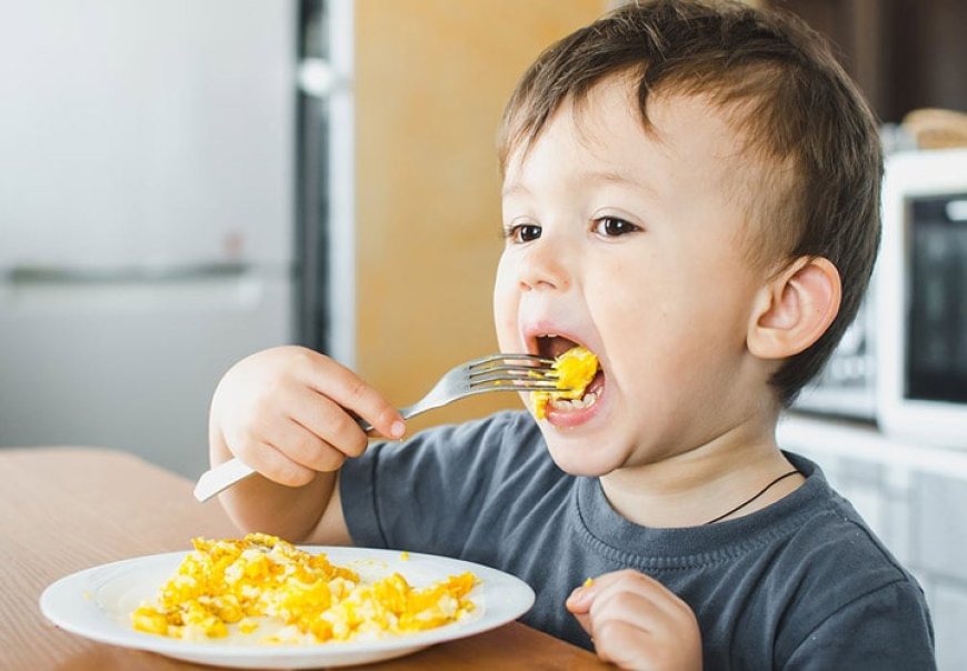 طرز تهیه غذا‌های سرشار از پروتئین برای کودکان