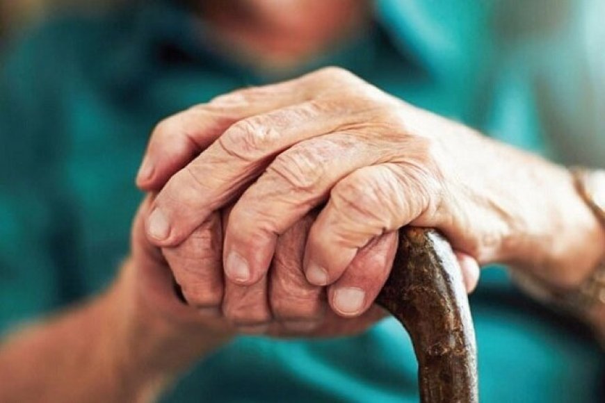 جهش سالمندی تا سال ۲۰۳۰/ ارائه خدمات سالمندی، از مشاغل آینده حوزه پزشکی