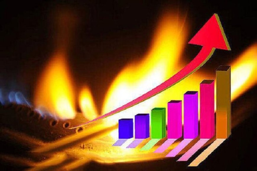 ‌افزایش چشمگیر میزان مصرف گاز در فارس‌
