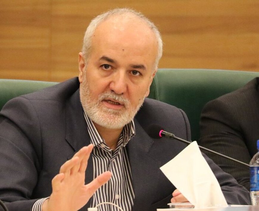 شهردار شیراز : ساز دیپلماسی از دل شهرها کوک می شود