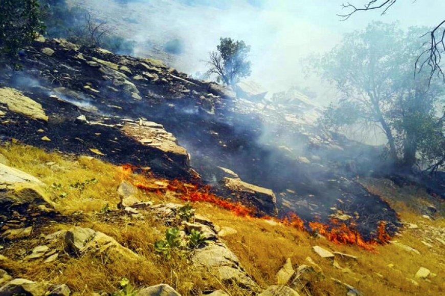 آتش‌سوزی منطقه خائیز از مزرعه کشاورزی شروع شد/خسارات برآورد می‌شود