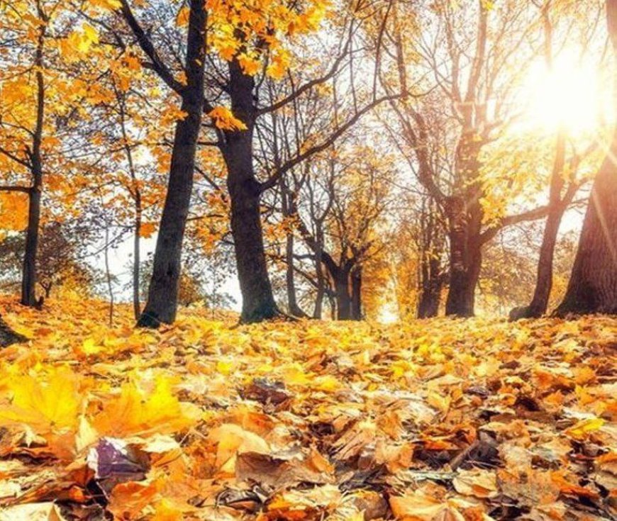 پاییز خشک و گرم در راه است