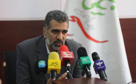 رئیس بسیج جامعه پزشکی: مشکلات اقتصادی دلیل عمده سقط جنین در ایران است