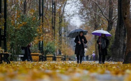 پادشاه فصل‌ها پربارش یا گرم و خشک؟