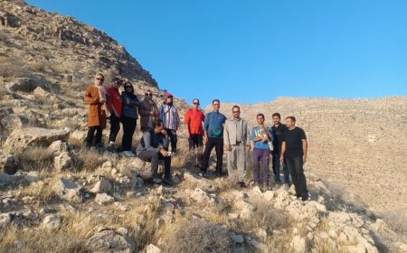 رهاسازی دو بهله عقاب از نوع خالدار و‌مارگیر در شهرستان قیروکارزین