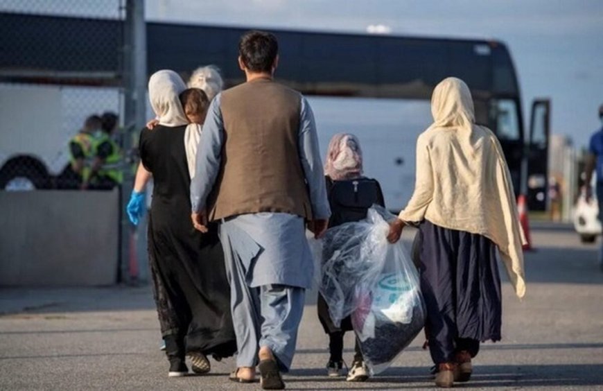 حضور ۵ میلیون تبعه خارجی در کشور