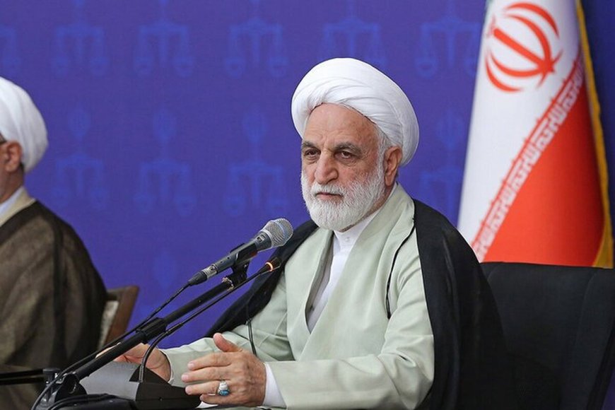 محسنی اژه‌ای: احکام جایگزین حبس نباید موهن و تمسخرآمیز نباشد