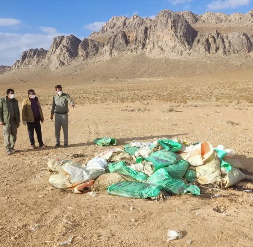 مرغداری متخلف لاشه دوهزار قطعه مرغ تلف شده را در مناطق زیست محیطی بوانات رها کرد