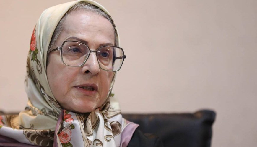 الهه کولایی استاد دانشگاه تهران:  در برخی قوانین، زنان به عنوان ابزار تولیدمثل در نظر گرفته شده‌اند