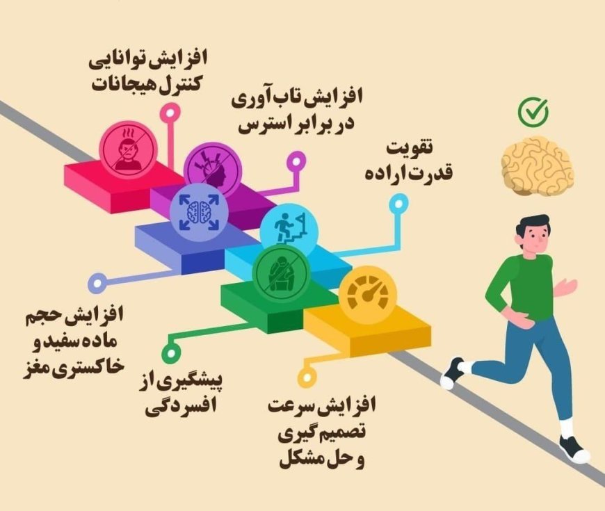 تاثیر یکساعت ورزش روزانه بر عملکرد مغز