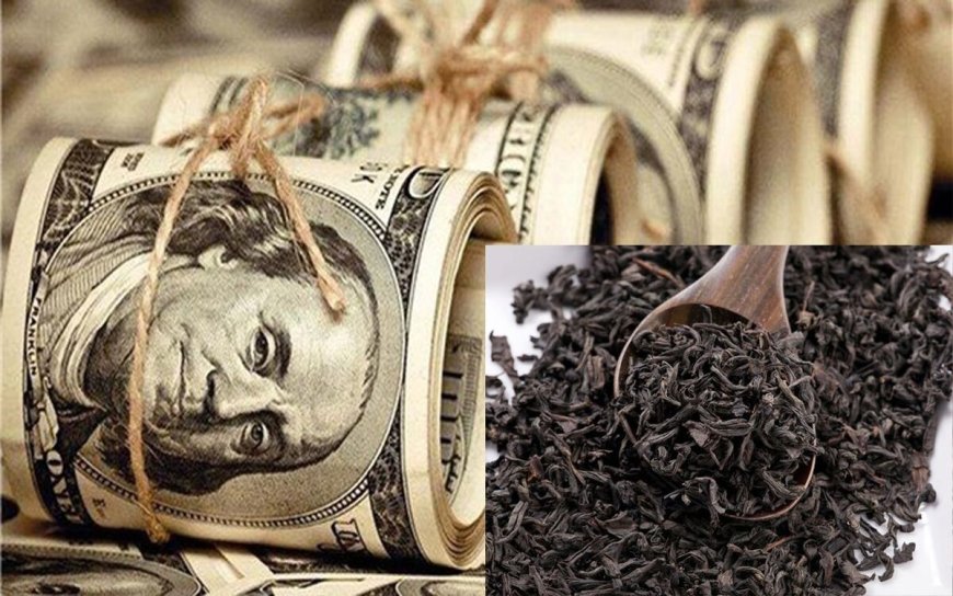 جزییاتی از پرونده چای دبش؛ توقیف ۵۰۰ میلیارد تومان طلا