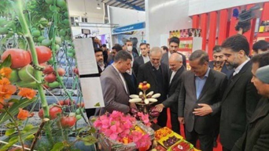 بازدید دکتر پزشکیان از نمایشگاه تخصصی کشاورزی استان خراسان شمالی
