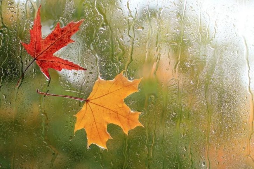 برف و باران در راه فارس / دمای هوا کمی افزایش می‌یابد