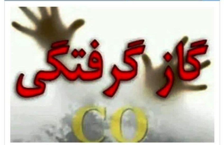 مسمومیت ۱۱ نفر از دو خانواده بر اثر گاز گرفتگی در زرین دشت