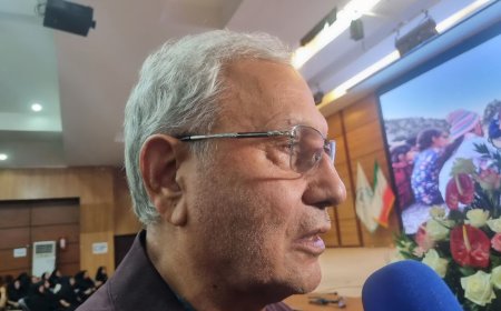 دستیار اجتماعی رئیس جمهور در یاسوج: تقویت نهادهای اجتماعی از مصادیق بارز گفتمان وفاق است