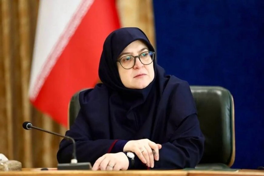 سخنگوی دولت: الحمدلله سر پا هستیم؛ آرام اصلاحات اقتصادی را انجام می‌دهیم / قرار نیست مردم با قیمت بنزین غافلگیر شوند