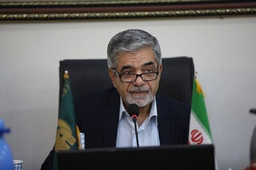 استاد دانشگاه شیراز : برای امیدآفرینی میان جوانان باید افق‌های روشن ترسیم شود
