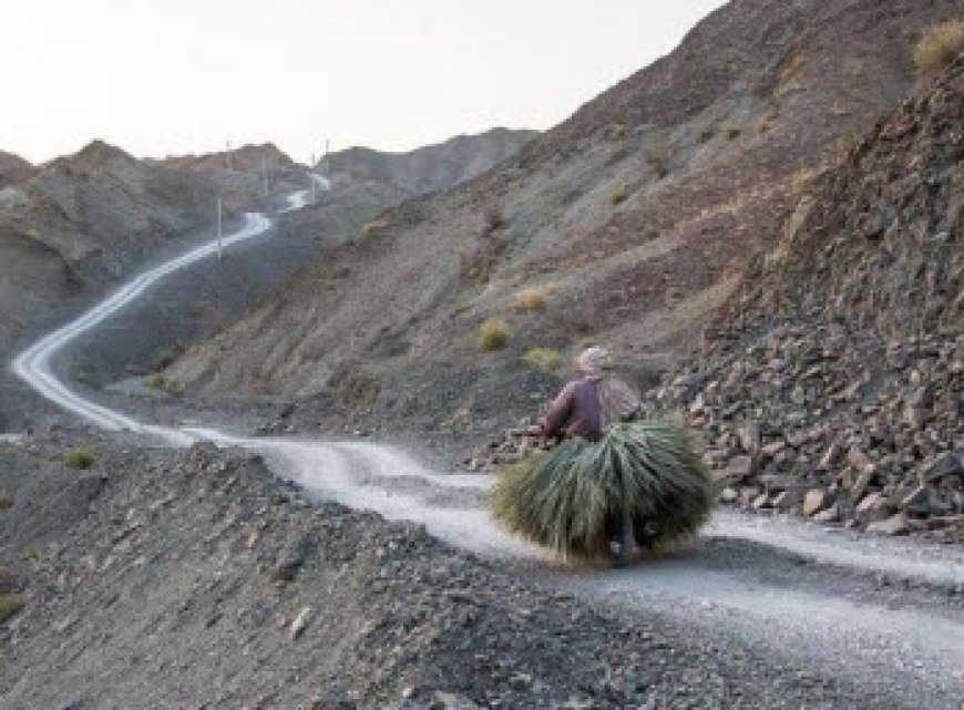 نیروی دریایی ارتش پای کار راهسازی در بشاگرد