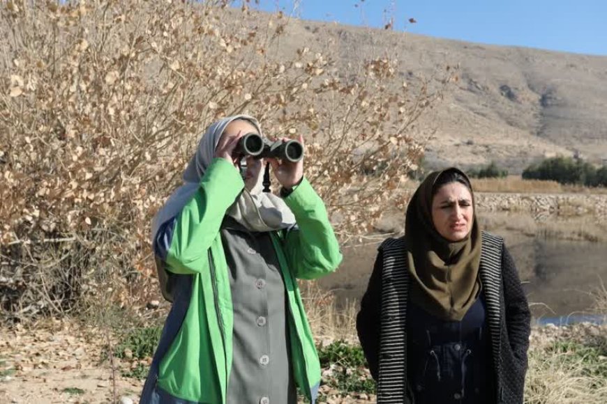 آغاز سرشماری نیمه زمستانه پرندگان آبچر و کنار آبچر در استان فارس 
