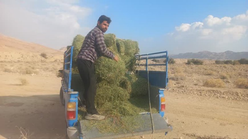 منطقه هرمود   بهره مند از کمک های خیر طبیعت دوست  گراشی