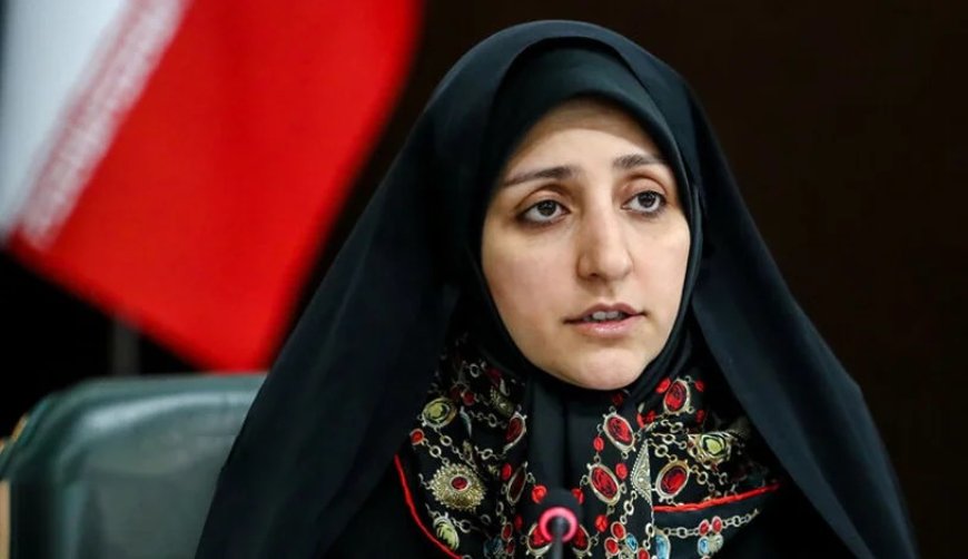 معاون زنان و امور خانواده رئیس جمهور: وقتی از جوانی جمعیت حرف می‌زنیم، باید جان مردم هم برای ما مهم باشد