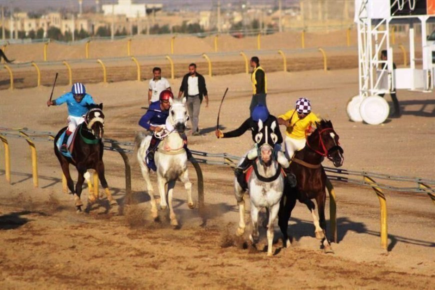 قول مساعد رییس جمهور در خصوص تهاتر تنها پیست سوارکاری اهواز