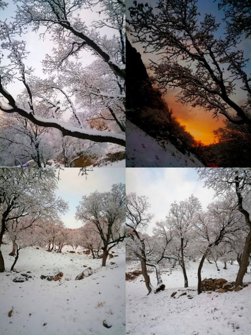 ببینید| زمستان زیبای خوزستان، امام زاده عبدالله صیدون