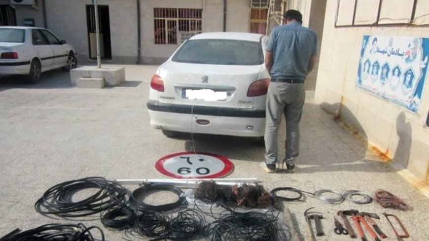 دستگیری ۲ سارق در بوشهر با ۱۵ فقره سرقت