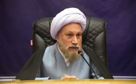 دعوت امام جمعه شیراز از مردم برای پیوستن به پویش《نه به تصادف》