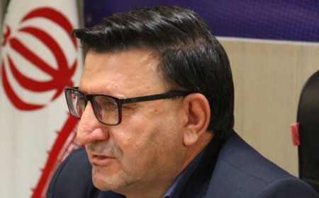 یک مسئول در استانداری: اتباع خارجی دارای برگ سرشماری در فارس نسبت به خروج از کشور اقدام کنند