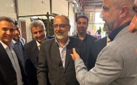 بازدید بازرس کل فارس از سردخانه‌های ذخیره‌سازی میوه شب عید در استان/ نظارت مستمر تا پایان تعطیلات نوروز