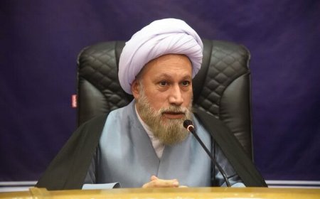 امام جمعه شیراز: محوریت سند حرم سوم اهل‌بیت (ع) در برنامه‌های مختلف مدنظر قرار بگیرد