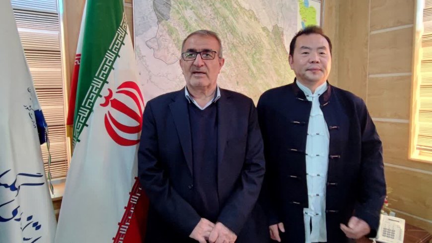 آمادگی سرمایه‌گذار چینی برای سرمایه گذاری در معادن کهگیلویه وبویراحمد