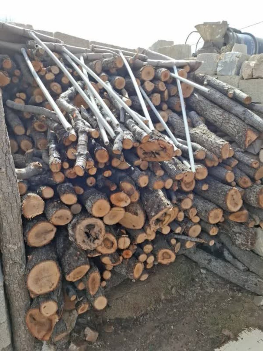 کشف و ضبط ۴۲۰۰ کیلوگرم  هیزم جنگلی بلوط در شهرستان شیراز