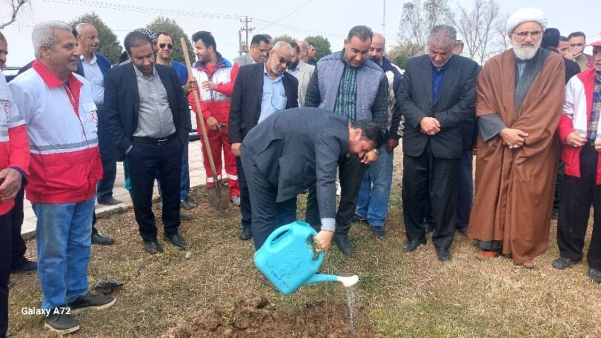 آغاز کاشت یک هزار و ۵۰۰ نهال در آبادان و خرمشهر