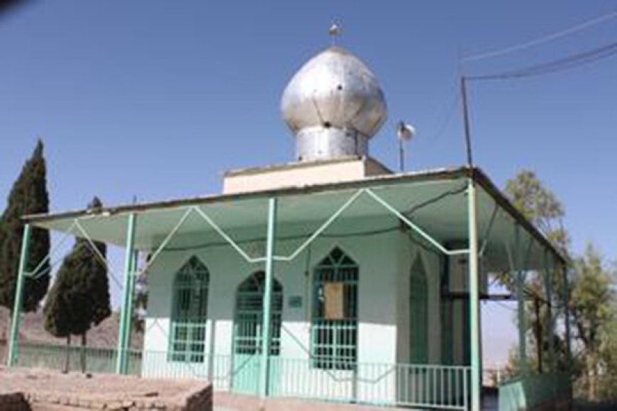 واکنش اوقاف به حفاری غیر مجاز بقعه یک امامزاده در استان فارس