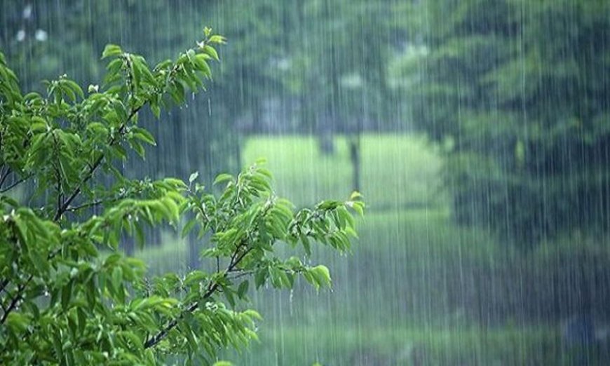 بارش باران زمستانی در شهر بندرعباس