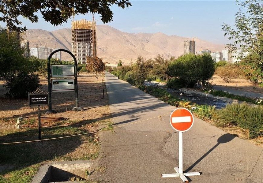 باغ‌های تاریخی شیراز قربانی توسعه نامتوازن