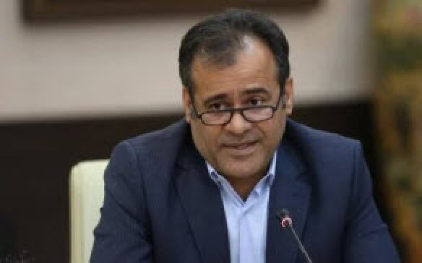 تحقق ۶۹ درصدی تعهدات پرداخت وام بانک‌های بوشهر
