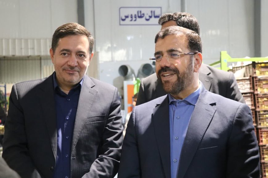 طرح ملی میوه شب عید زیر ذره بین استاندار فارس