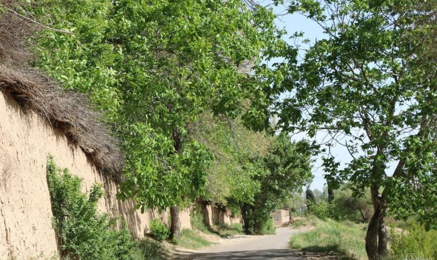 فعلا خبری از باران در فارس نیست / دمای هوا افزایش پیدا می‌کند