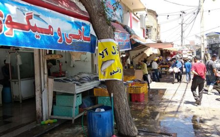 سرانجام ساماندهی دروازه کازرون شیراز/ممنوعیت فعالیت صنوف پروتئین و تره‌بار