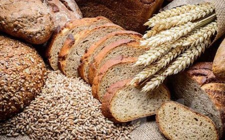 گزارش "خبرجنوب" به مناسبت روز ملی گندم و نان