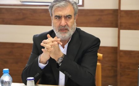 رئیس کمیسیون امنیت ملی مجلس: محتویات محموله ها براساس اعلام دستگاه، موادی بوده که در کشاورزی استفاده می شود/ ما تایید می کنیم که اظهارات وارد کننده با محل نگهداری محموله انطباق نداشته است